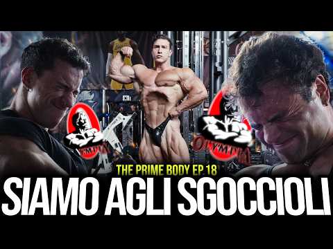 MANCA SEMPRE MENO... PULL DAY a 16 GIORNI dal MR OLYMPIA // THE PRIME BODY ep.18
