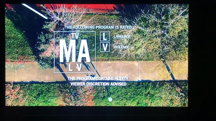 Atlanta_Season 2 - Viewer Discretion Disclaimer