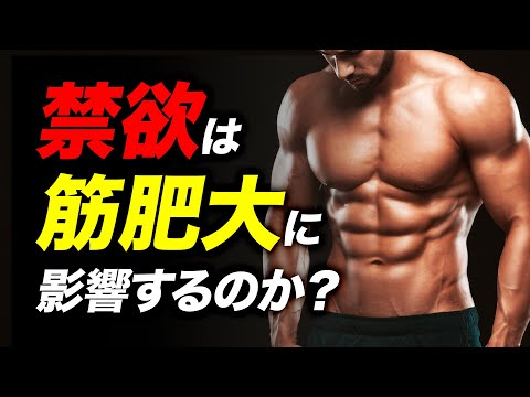 【筋トレ】禁欲すると筋肉に効果がある？ テストステロンとの関係について【ビーレジェンド プロテイン】
