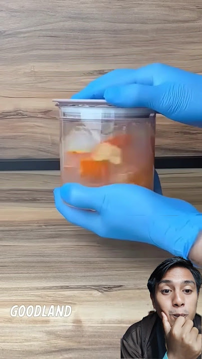 Jeruk gapake baju⁉️⁉️ jadi malu kan #shorts #trending #trendingshorts #shortsviral #fyp