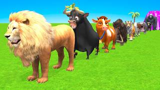 Fantastic Long Slide Game With Cow Elephant Gorilla Hippopotamus Tiger 3dAnimal Game Funny 3dAnimals