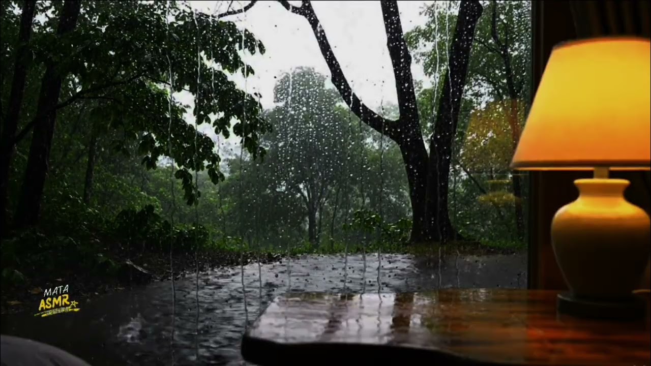 DEEP SLEEP TERAPHY|Cozy Rain small forest for lullaby & stress relief 