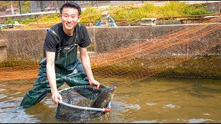 His skill in handling eel and carp is at the highest level in Japan. 鯉ひろまつ うなぎ 鯉 鰻 japanese food