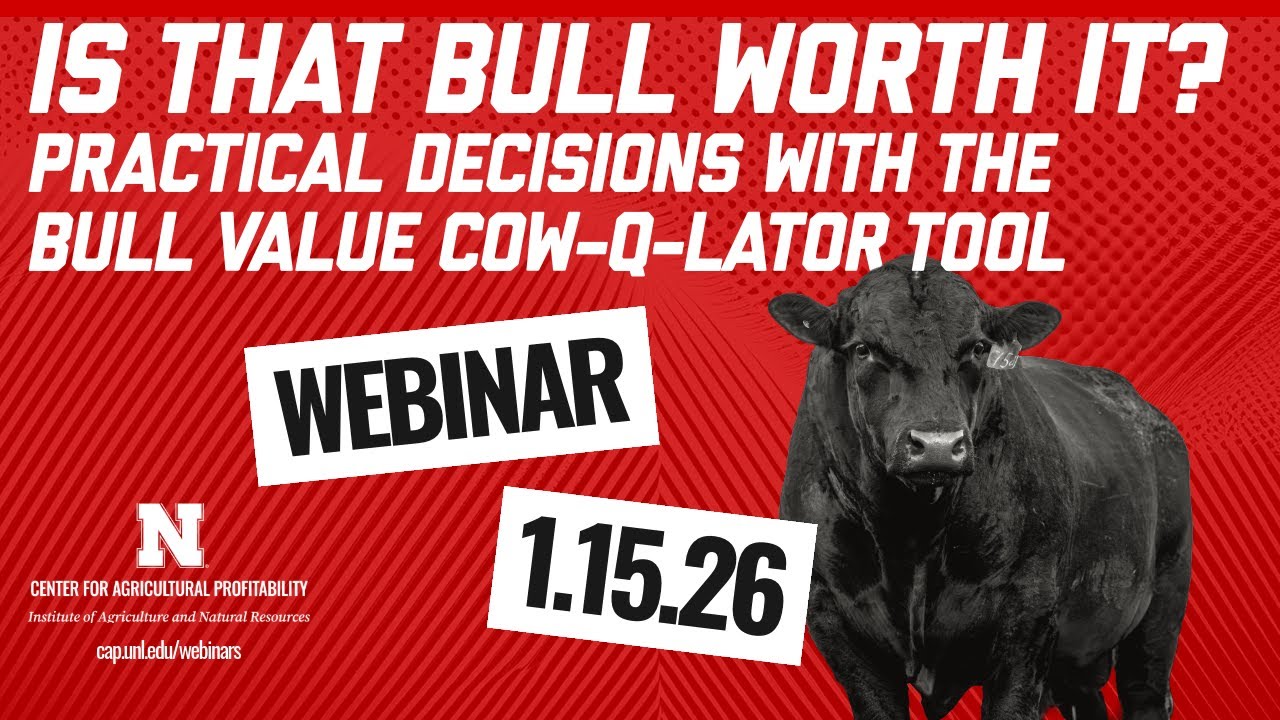 Стоит ли этот бык своих денег? Практические решения с помощью Bull Value Cow-Q-Lator.