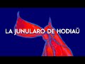 La Junularo de Hodiaŭ: Klarigoj
