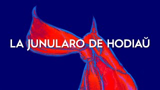 La Junularo de Hodiaŭ: Klarigoj