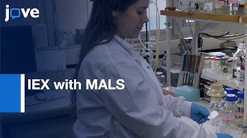 IEX with MALS for Protein Separation and Characterization | Protocol Preview