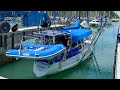Splash Day is finally here | Malaysia Episode 188 (Sailing Catalpa)