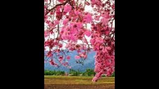 kenangan dulu masih memburu-u.k’s