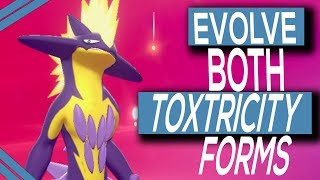 Pokémon Sword and Shield: How to evolve Toxel into Toxtricity and change  its nature - Polygon