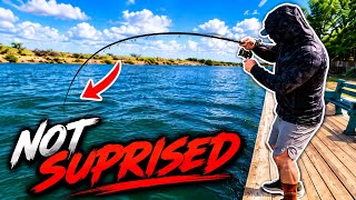 I saw TARPON ROLLING at this ARROYO CITY FISHING SPOT