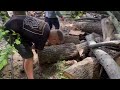     THE SOUND OF REAL POWER | Stihl MS 361 &amp; 462 C-M Deep Forest Action