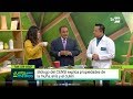 Propiedades medicinales del anís, culén y la muña (Junta Médica)