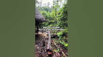 Thumbnail of 16 Ayahuasca Ceremonies, 40 Days Of Silence in the Amazon Jungle #shorts #ayahuasca #plantmedicine