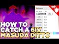 How to Catch a 6IV Masuda Method Ditto in Pokemon Sword and Shield
