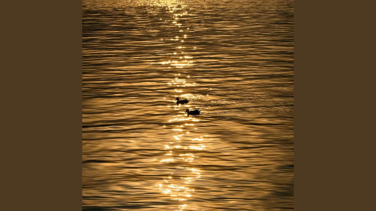 the death of peace of mind ≻ ambient texture loop