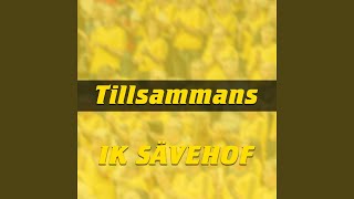 Miniatura de "Tobias Widberg - Tillsammans IK Sävehof"