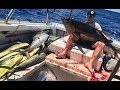 Ahi Fishing- Cranking