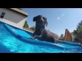 GoPro: Otis Pool Day