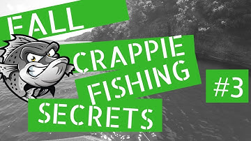 Fall crappie fishing secrets - how to find and catch crappie
