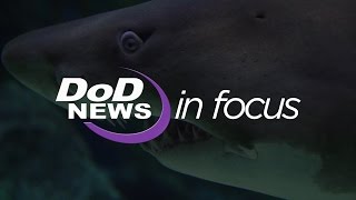 DoD News In Focus - Shark Antibodies: Protecting the Warfighter