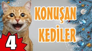Konuşan Kediler 4 - En Komik Kedi Videoları