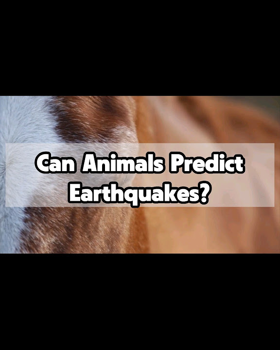 Can Animals Predict Earthquakes? shorts ai trivia earthquake 