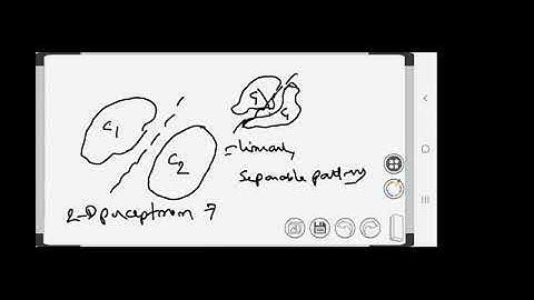 Perceptron Convergence theorem
