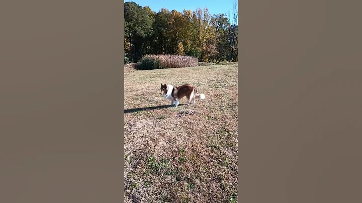 Tessie October 26 2022
