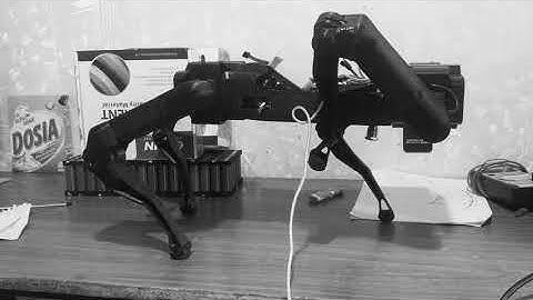 Blackie -The quadruped robot | Wave gait walking test 1 - (High steps)