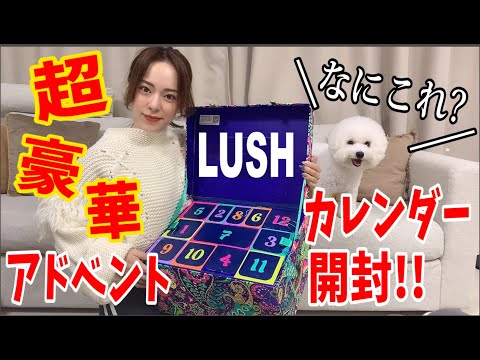 【初開封!!】LUSHの豪華すぎるアドベントカレンダー大開封したら鼻バカになって大混乱の巻www