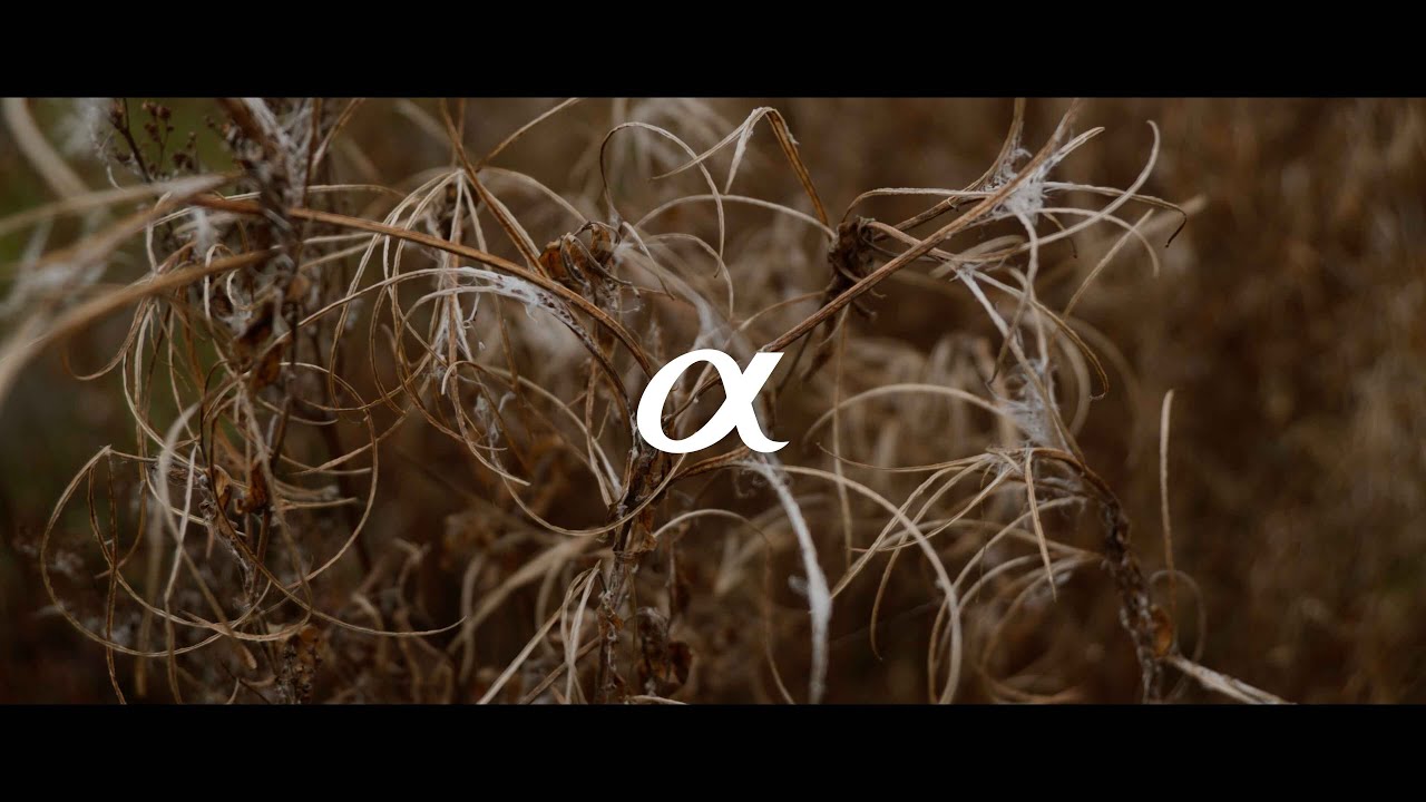 Sony FX30 Cinematic | Tamron 17-70mm f/2.8 | Dehancer x Kodak Ultramax 400