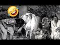 Raja babu and ramana reddy old comedy scenes