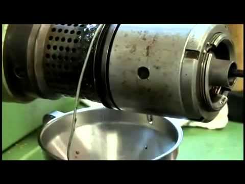 Отжим масла черного тмина из семян, холодный отжим.