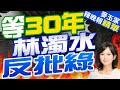 等了30年的好事 林濁水不認同綠作為 | 等30年 林濁水反批綠【麥玉潔辣晚報】精華版@CtiNews