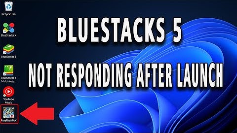 How to Fix Bluestacks 5 Not Responding After Launch (full guide)