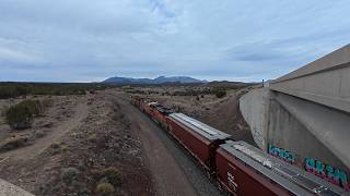 BNSF's Seligman Sub in 4k (day 3) - Winter 2026 - Grain, meets, manifests & intermodals Wealth