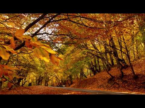 მ ო გ ო ნ ე ბ ა .