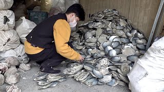 Process of Making Beautiful Decoration with Seashells. Korean Mother-of-pearl Factory screenshot 3