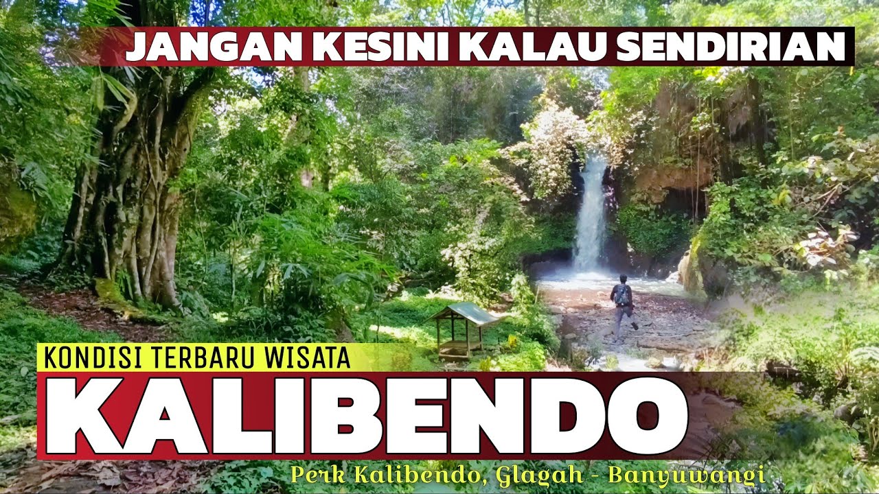 Penasaran Dengan Air Terjun Kalibendo Banyuwangi !!! Suasana Terbaru Wisata Kalibendo Banyuwangi...