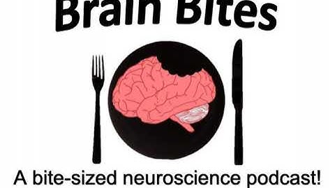 Neuroscience of Illusions!