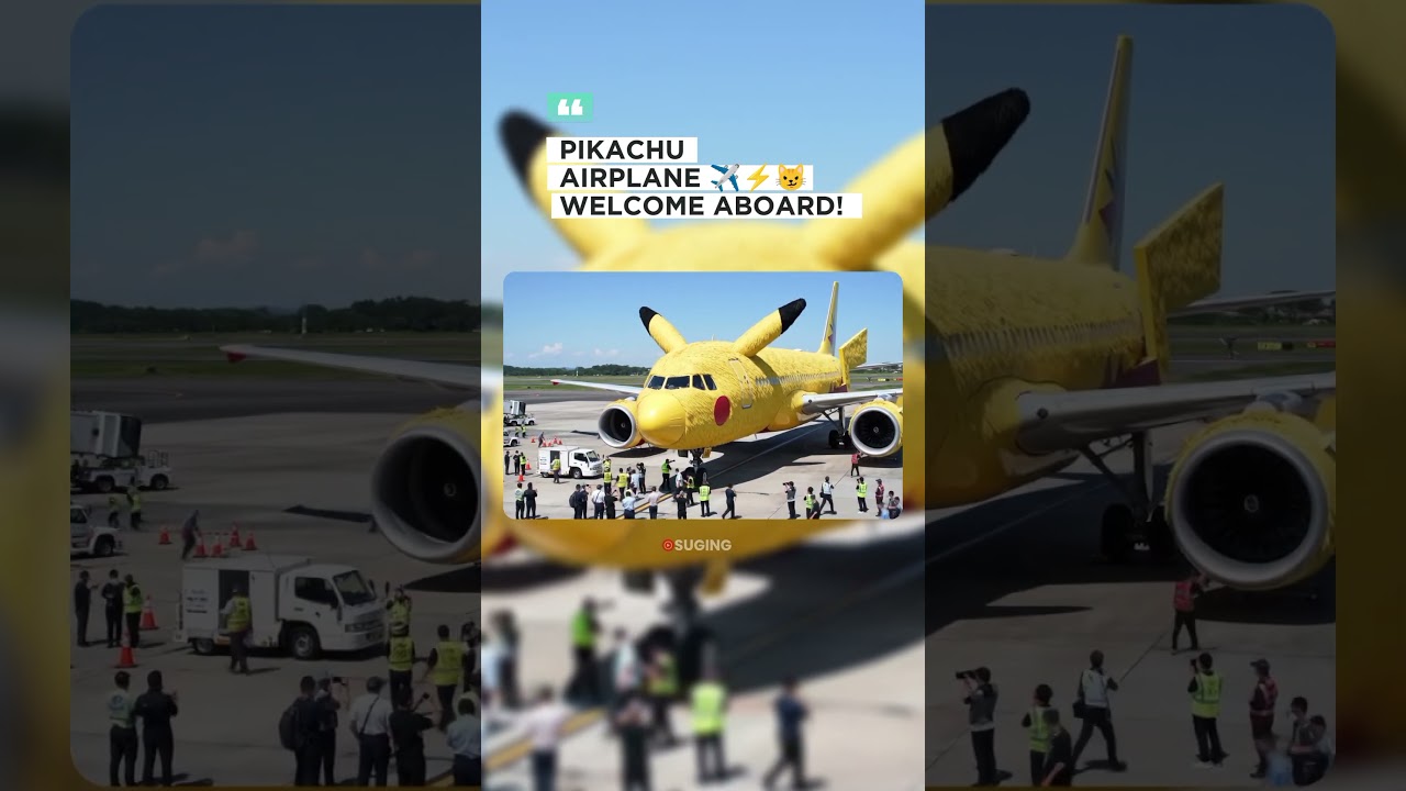 Pikachu Airplane ✈️⚡😼 Welcome Aboard!