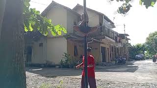 Rayap Besi Tak Main Main