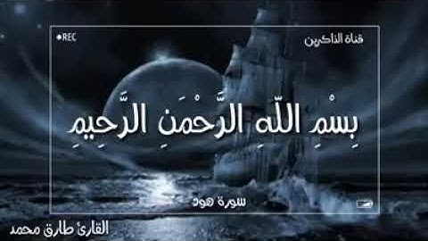 وَهِيَ تَجْرِي بِهِمْ فِي مَوْجٍ كَالْجِبَالِ | سورة هود | القارئ طارق محمد