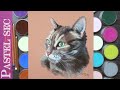 Portrait sur commande  chat au pastel sec