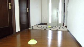 20120226 Solo Maxx Revolution ホバリング練習 24日目