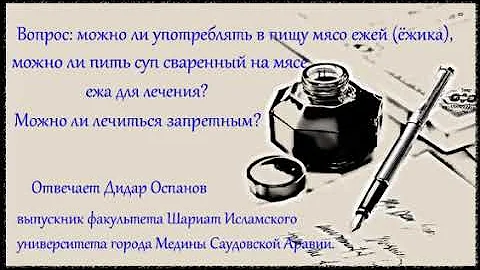 Можно ли употреблять в пищу мясо ежей для лечения? Можно ли лечиться запретным?
