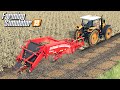 Kopanie i zbieranie ziemniaków - Farming Simulator 19 | #28