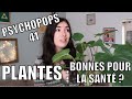 Les plantes sont bonnes pour la sant 