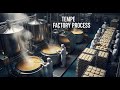 Inside the Tempe Factory: Full Process of Making Indonesia’s Traditional Soybean Food